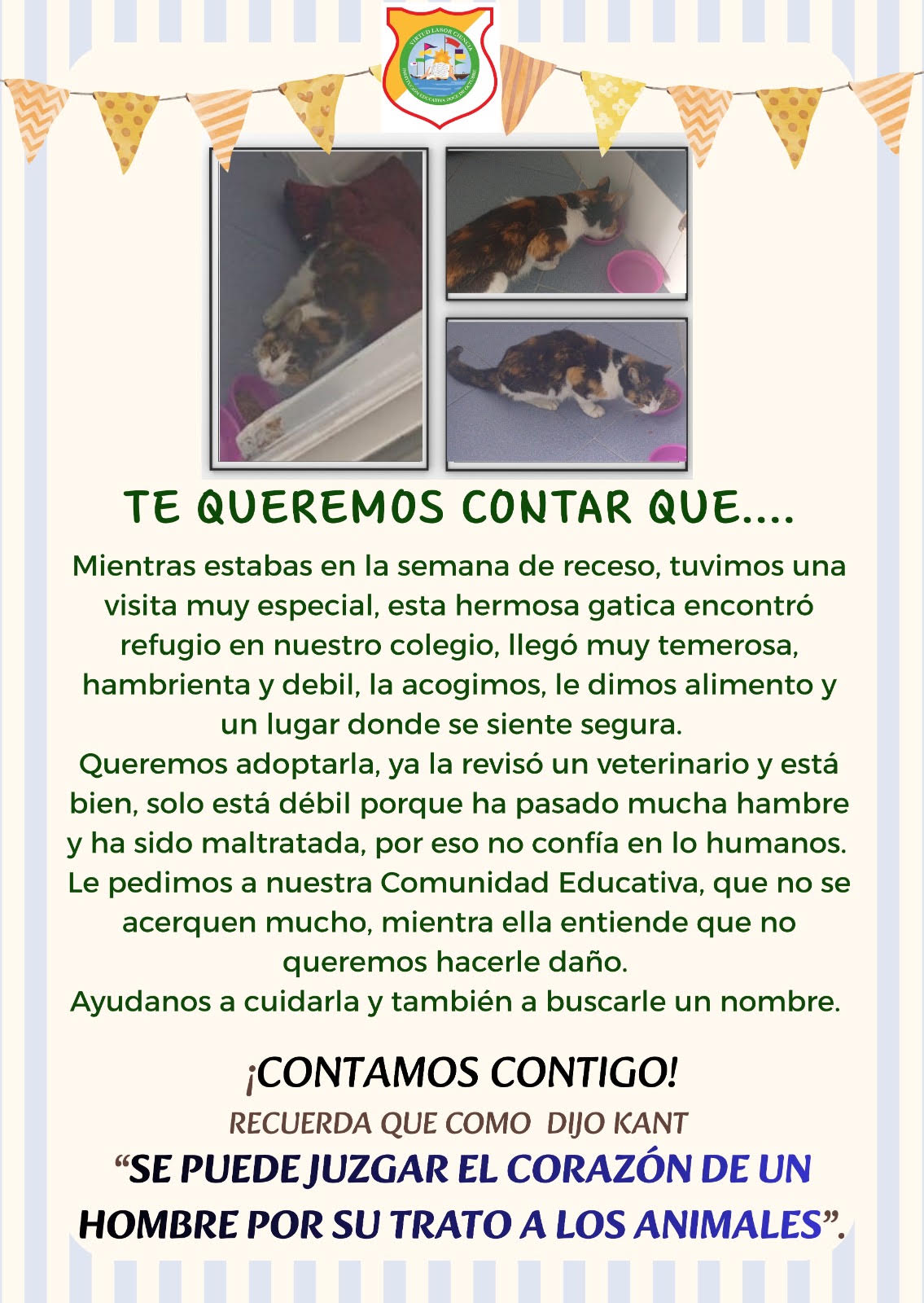 El valor de la empatía en acción: Adoptamos a una nueva amiga en nuestro colegio